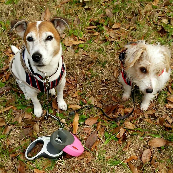 8de2e11e 0281 4fda b01e c803876d4a03