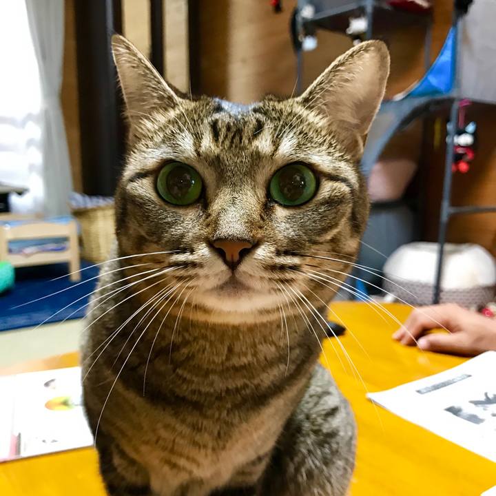 8de2e8e0 e231 49a8 a941 37792e773604