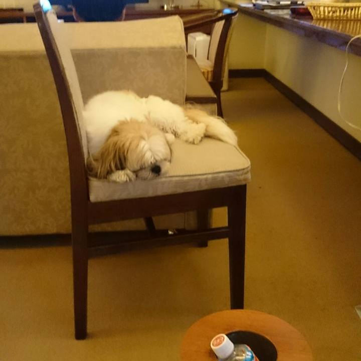 8de33d4f 3ee6 4a54 8990 5b672ca63437