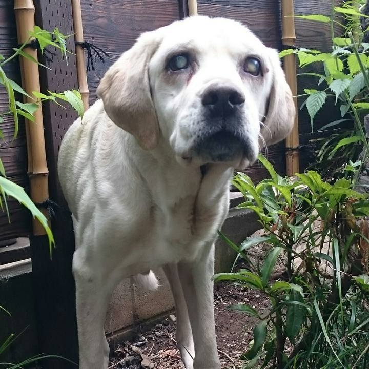 8de4651b 193d 4462 a566 7fa4f70142d3