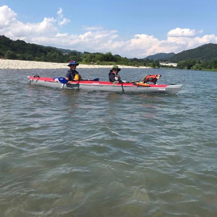 8de49b17 c14d 4ef1 9c8f 1f77df78c560