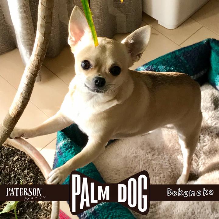 8de5a9b4 952f 4def 886b 10c8e2c169d6