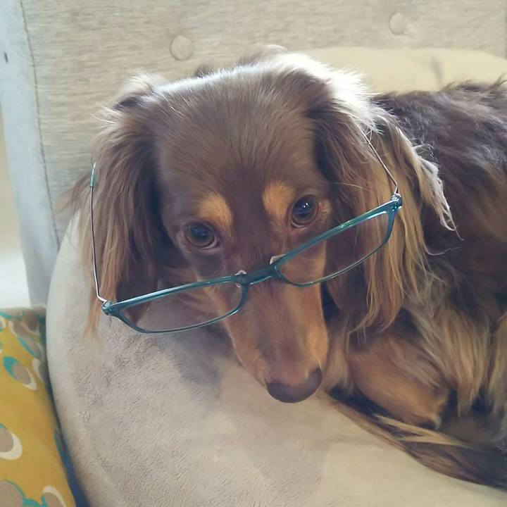 8de5ad02 9f18 43e7 a004 518870feab8b