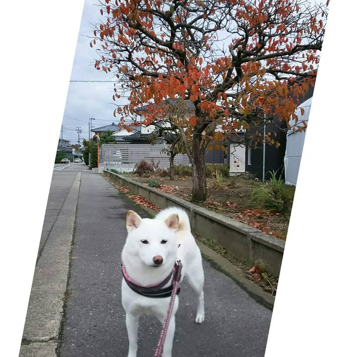 8de65d7d caeb 4e41 92a1 7b82262de7e0