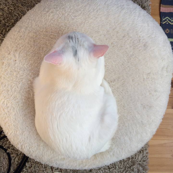 8de68965 0aed 4313 b7c3 9b4169cf4dd5