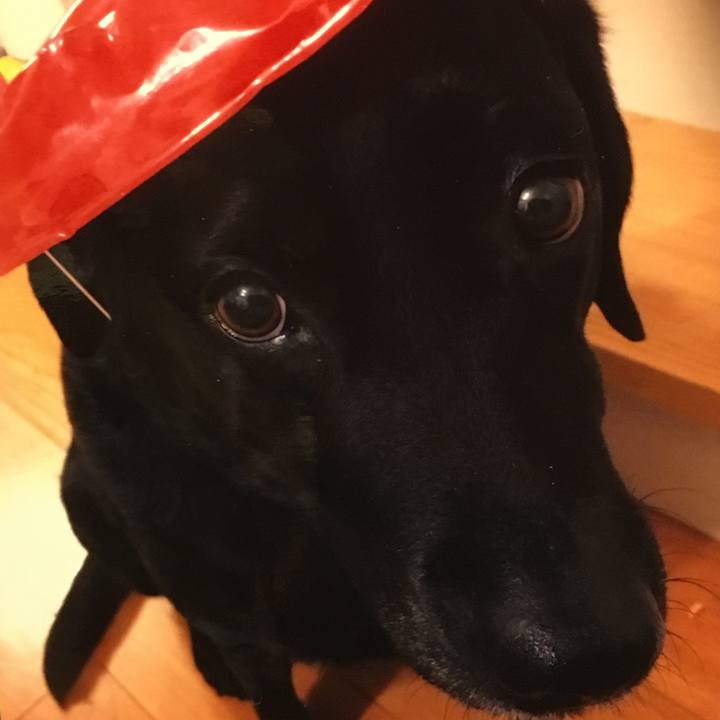 8de6fe07 a5a9 48d7 8d32 0d54021cf103