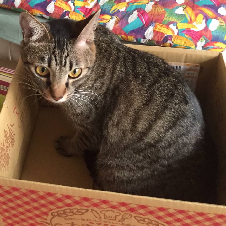 8de7e41b 7aea 49dd ac59 9fc9f27ffbcb