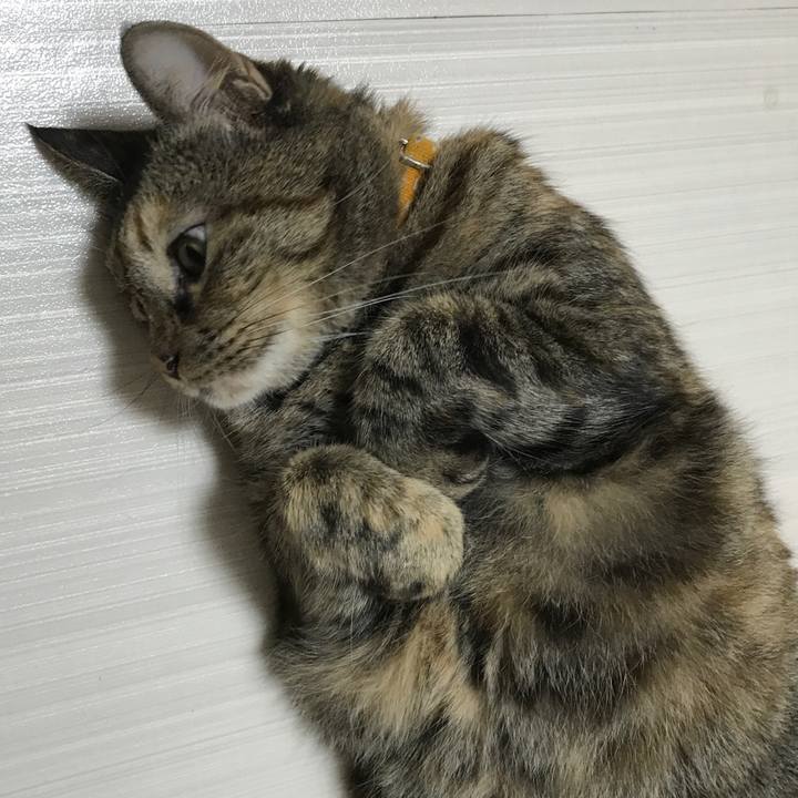 8de827e8 97c8 49df bdb7 5b1b9af0e438