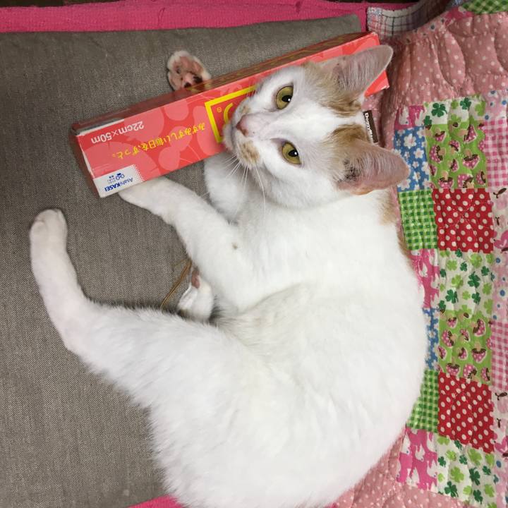 8de8440c bdb8 4f39 b20e 77509c8262de