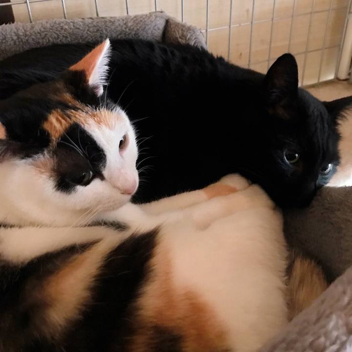 8de86a78 1d07 4180 a740 1eba4a0d4e22