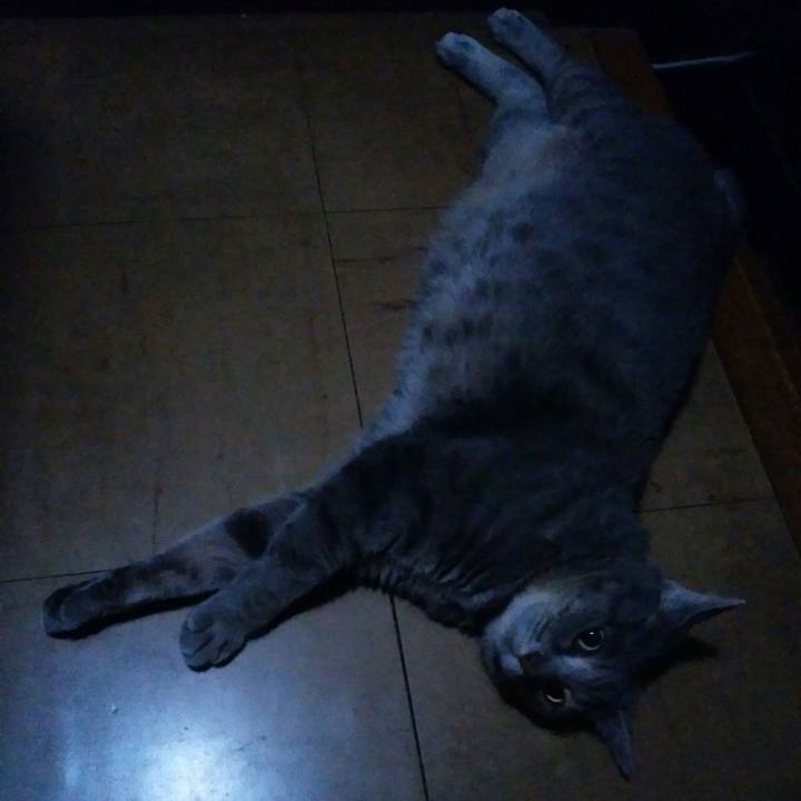 8de89ef8 4fee 4a4a 9a75 ab81a2a2263d