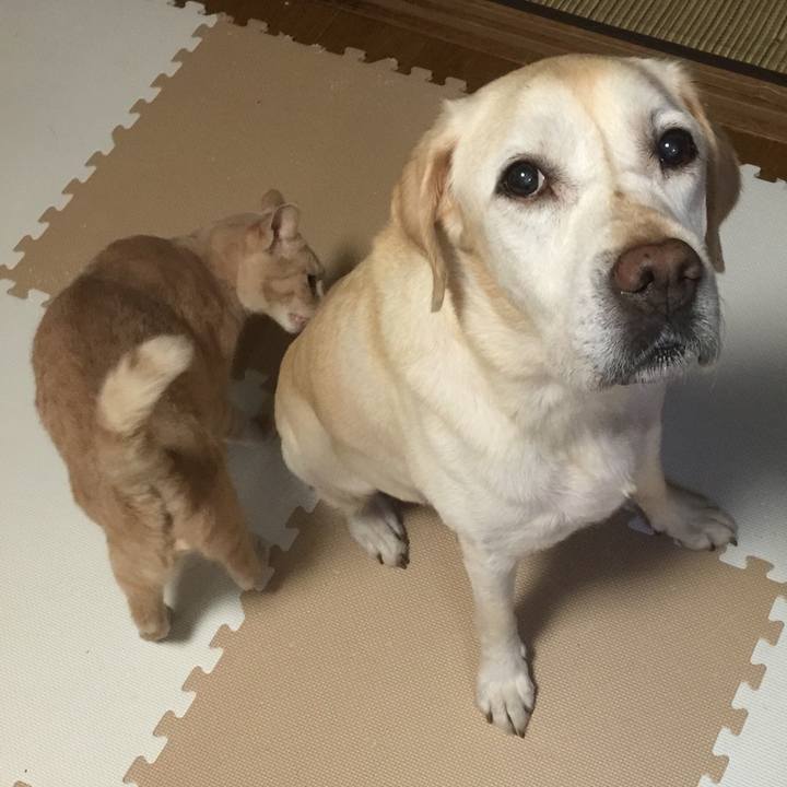 8de8a4d0 6706 4b3c a7d8 4c68521ade15