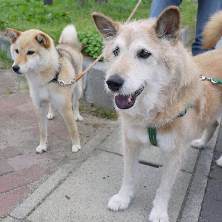 8de942e0 b93b 450b ae05 83fa261c3ff6