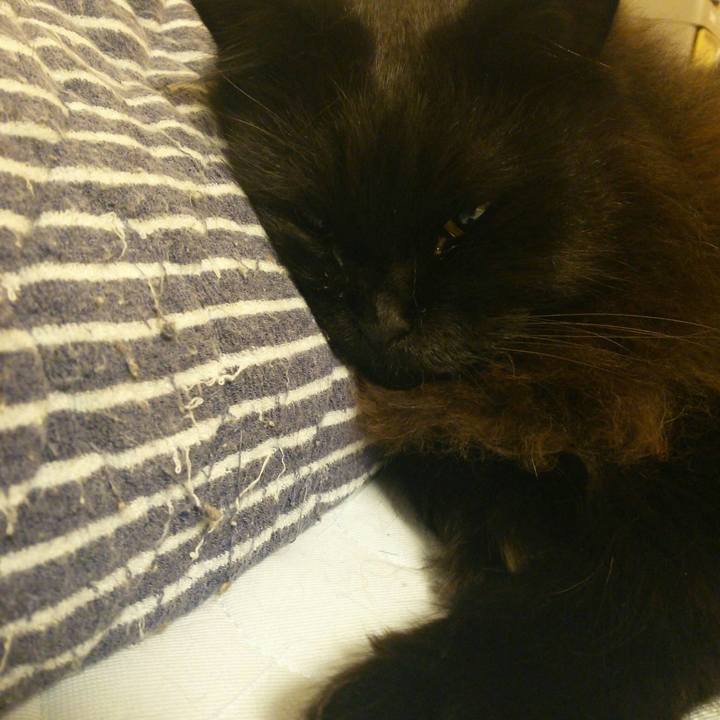 8de94aec da9a 4124 a1ac 9d91c797903c