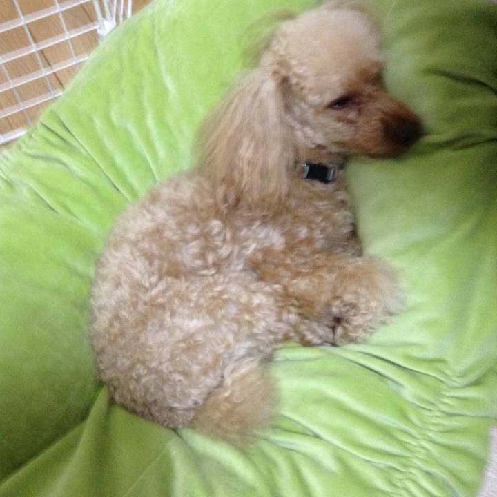 8de98c62 8c9a 49e9 998e e20ee1f0cac1