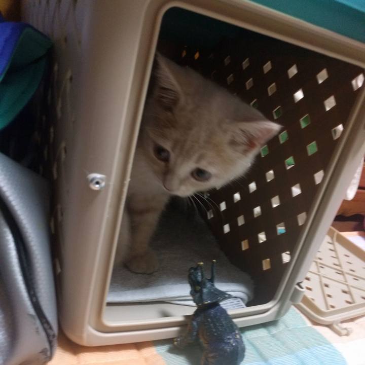 8dea95a1 3cc1 4402 8cd9 f1060a214e07