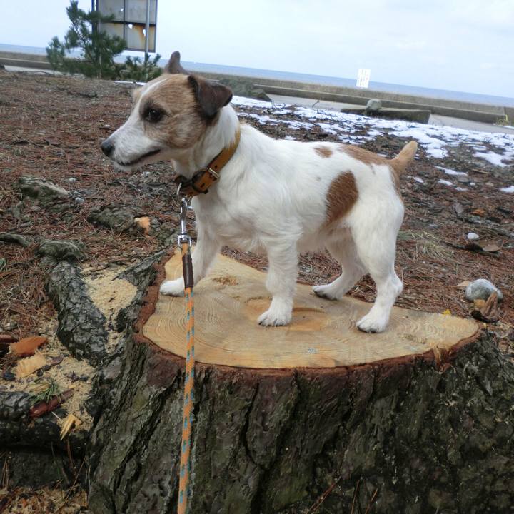 8deb1670 5dd3 47bd ab2d 9775a3d41b76