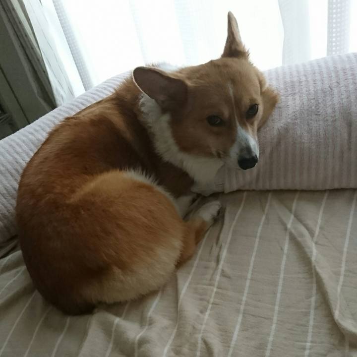 8deb2217 58e5 40d9 99c5 eb66267d3c62