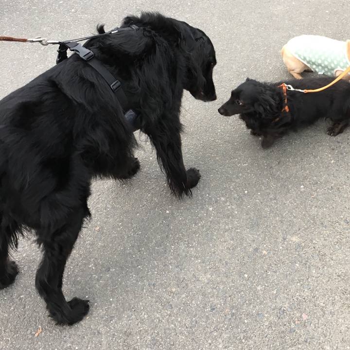 8deb649c eb3e 4db0 8e32 caa8caf3500e