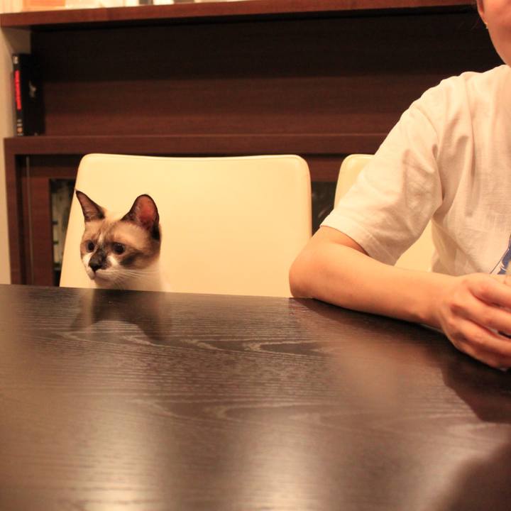 8dec8940 3db9 4b57 86d4 f324702b6df7