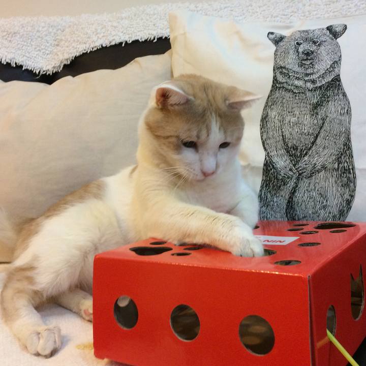 8dec916c 79e5 4512 b574 f59dff171b03