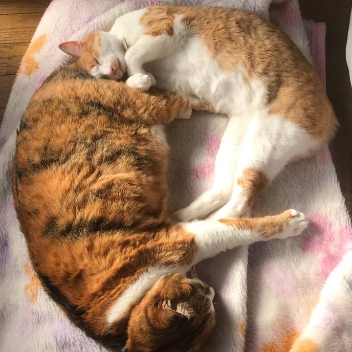 8ded16ac e13c 4a2c 843c af564b4f27f3