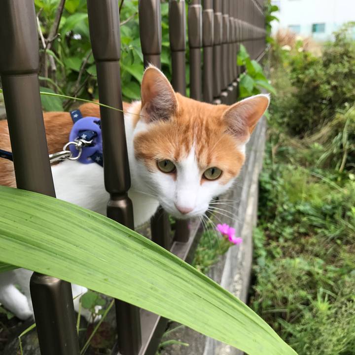 8ded50c7 1ccc 4cc6 8e61 46e3c3d212a5