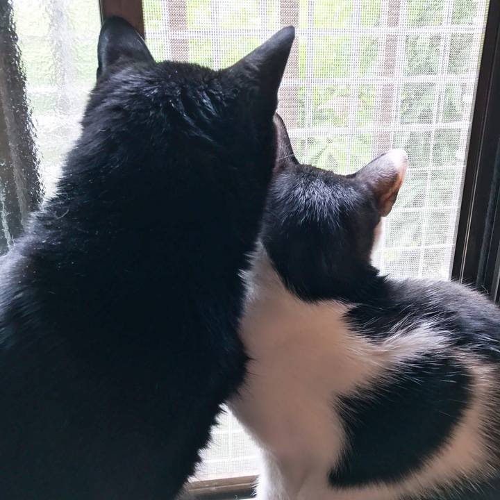 8deda7c8 ba3f 4fce aea5 abd29f8eb86e