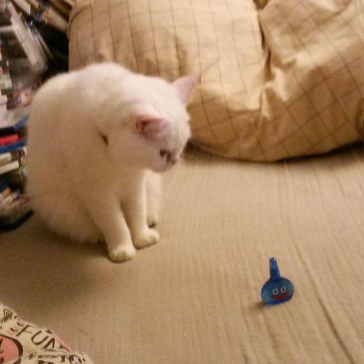 8dedbcf0 81ee 4aef af3f 84e9f0349ab9