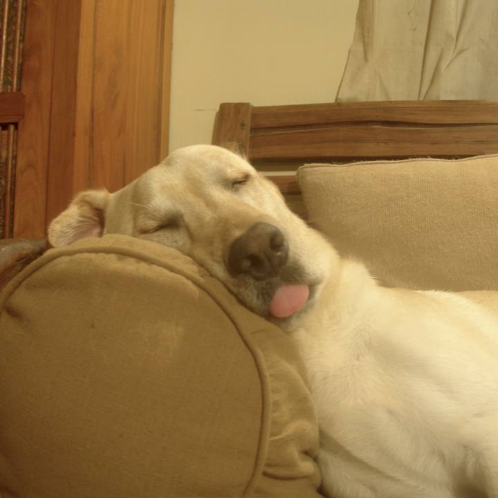 8dede779 f439 40c5 8ee9 084dc66e251f