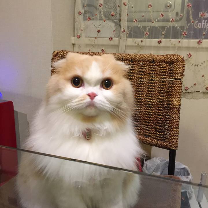 8dee8101 1f5b 49e3 a211 754c961a793b