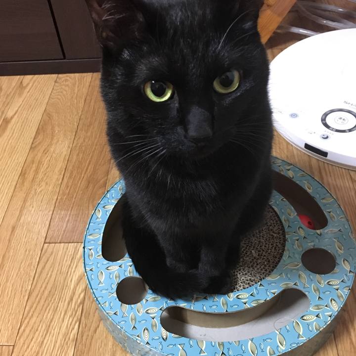 8deeac6c 095c 4ee2 9ab2 8454db105cbf