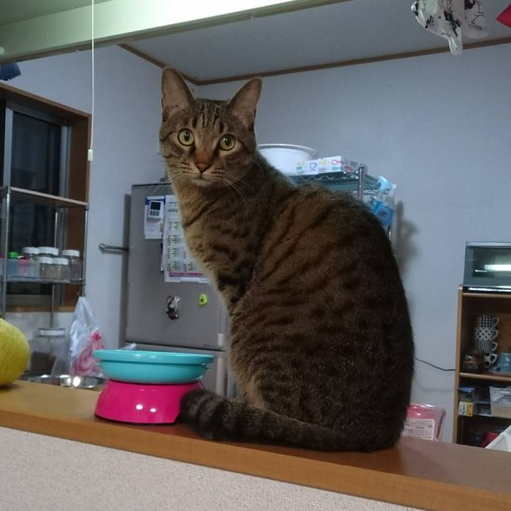 8def1eaa b6c2 4fc0 a014 0227c1385124