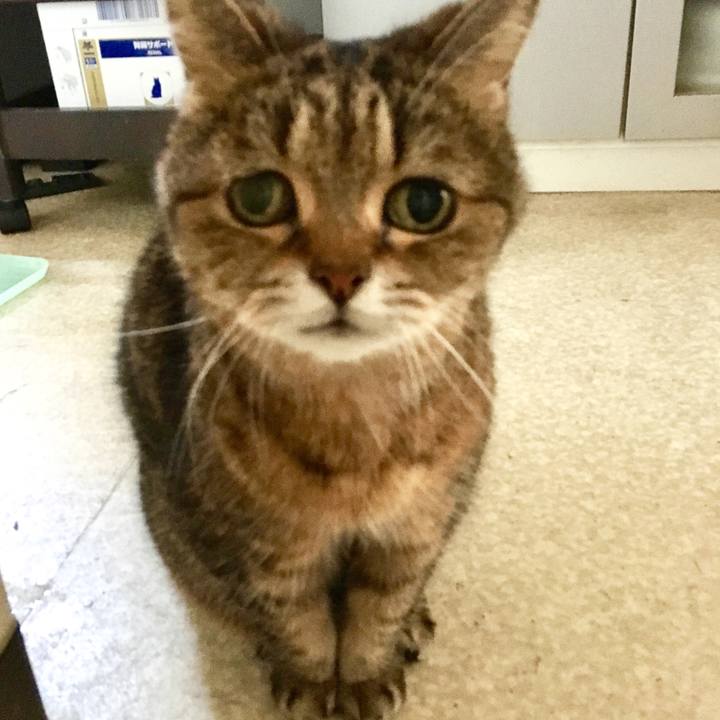 8def33ab 1c01 4ea0 b8fe ab96b8a9f40c