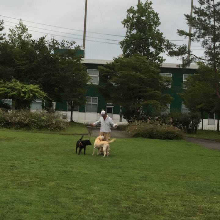 8defc223 8b28 4531 9065 c79bd1052553