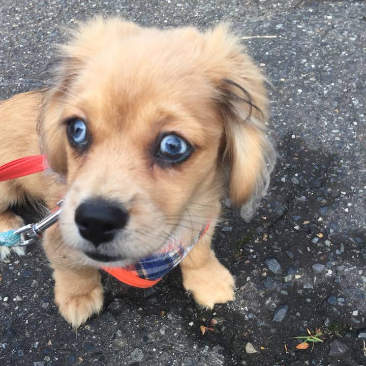 8deff166 e5df 4a31 91e6 a9083e6e6d57