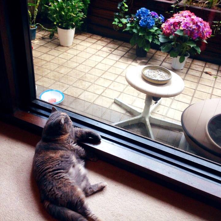 8df07f3a 98fe 400d bb9e 12d1fdba21b5