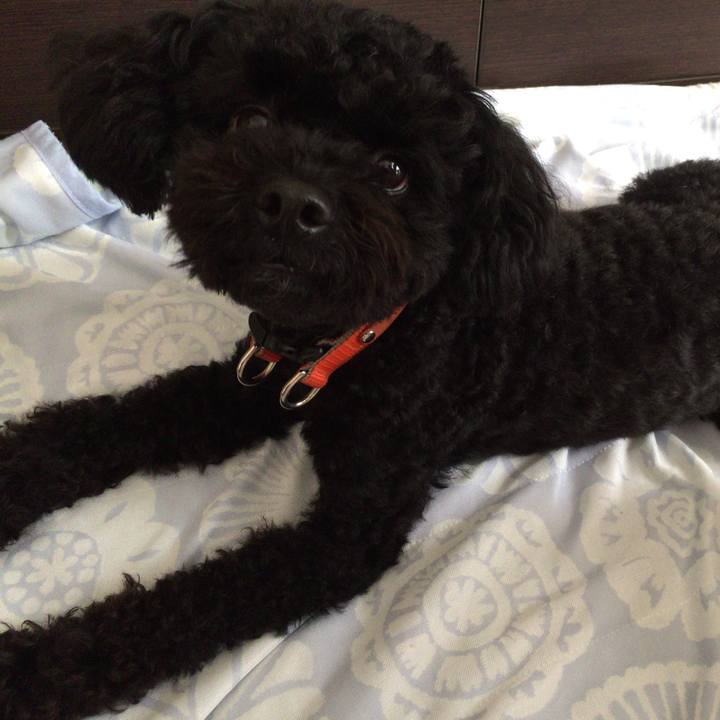 8df09e67 1dac 4939 8029 b871803a243e