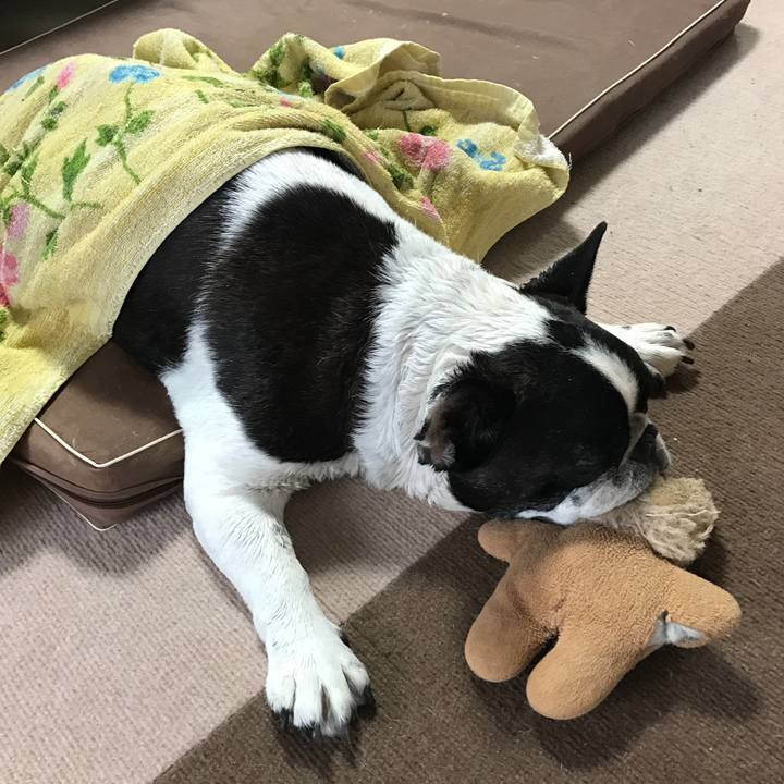 8df0c82a 7d30 4f74 9b7f 056c95f6dcd0