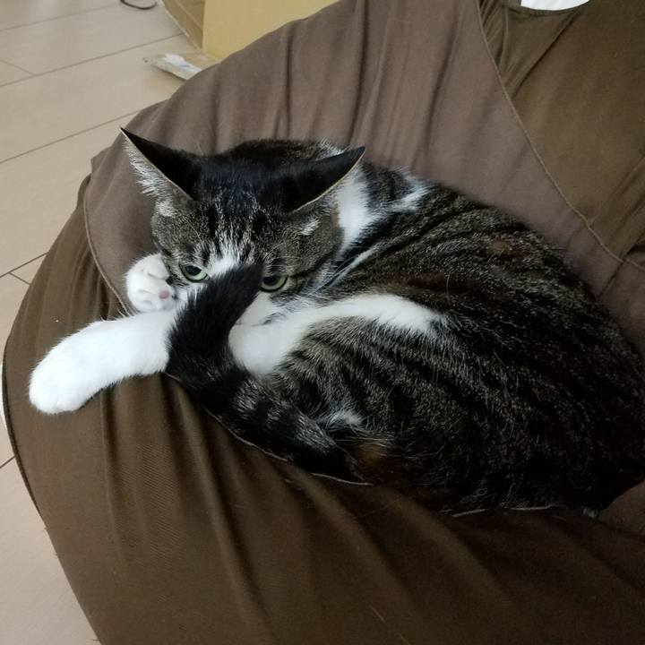 8df0e807 41c2 43c5 8939 b601331425c8