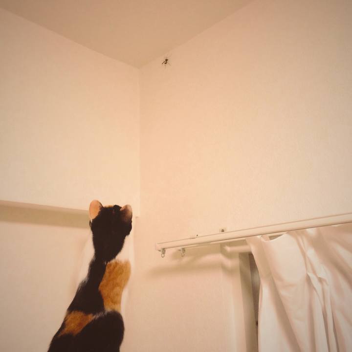 8df1193d 49dc 4d30 af7d 386e6835e7bf