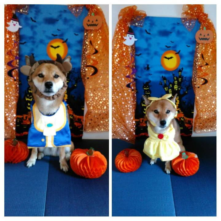 8df17352 ff6a 495e aea5 7026468d3e6d