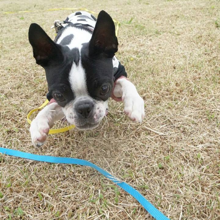 8df39b9f 74c2 4616 bf9c d9d4ad80c4c6