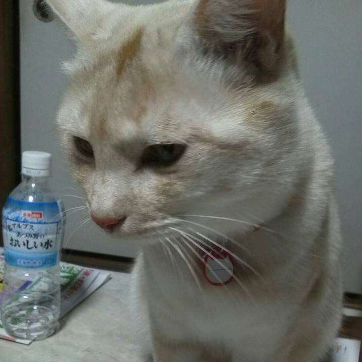 8df3eb0f 4247 410a 84db 0ff817aa6e01