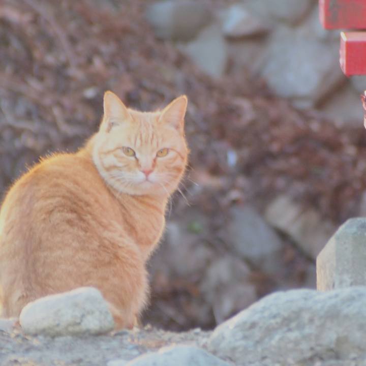 8df471c3 0ccd 41b7 9f94 29cd90bd0eb8