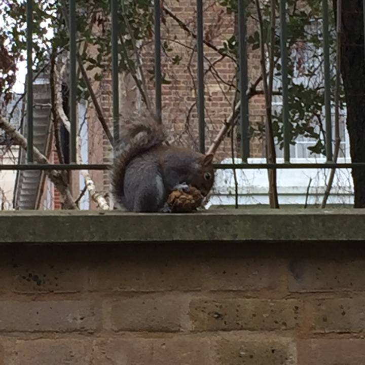 8df48bdc 9ae6 4e42 9211 bce1bf7eb538