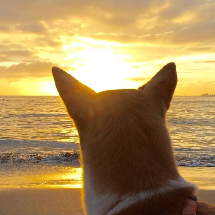 8df4c481 ffe5 4127 bdf4 5ab2802bf57c