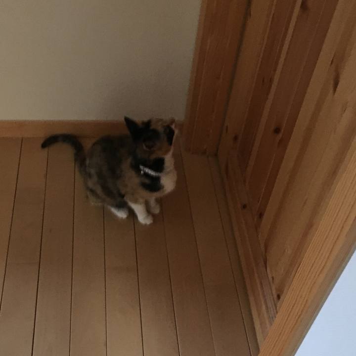 8df4ffe7 ea89 4247 9b43 9e7ea1036700