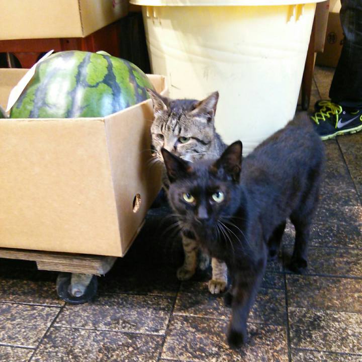 8df5d3d8 8a85 49c7 884a 3015f3fe8df6