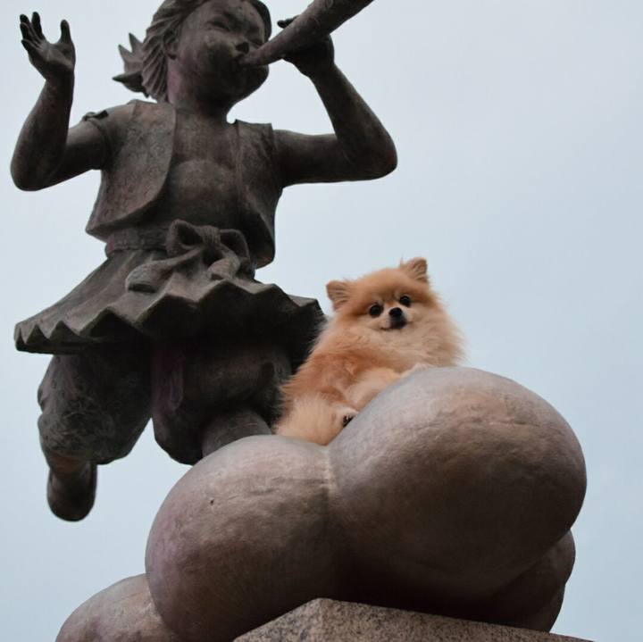 8df5e45e 7419 4a90 8ddb 8e4d85c7b4c8